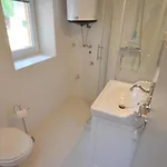 شقة Charming Attic روفينج